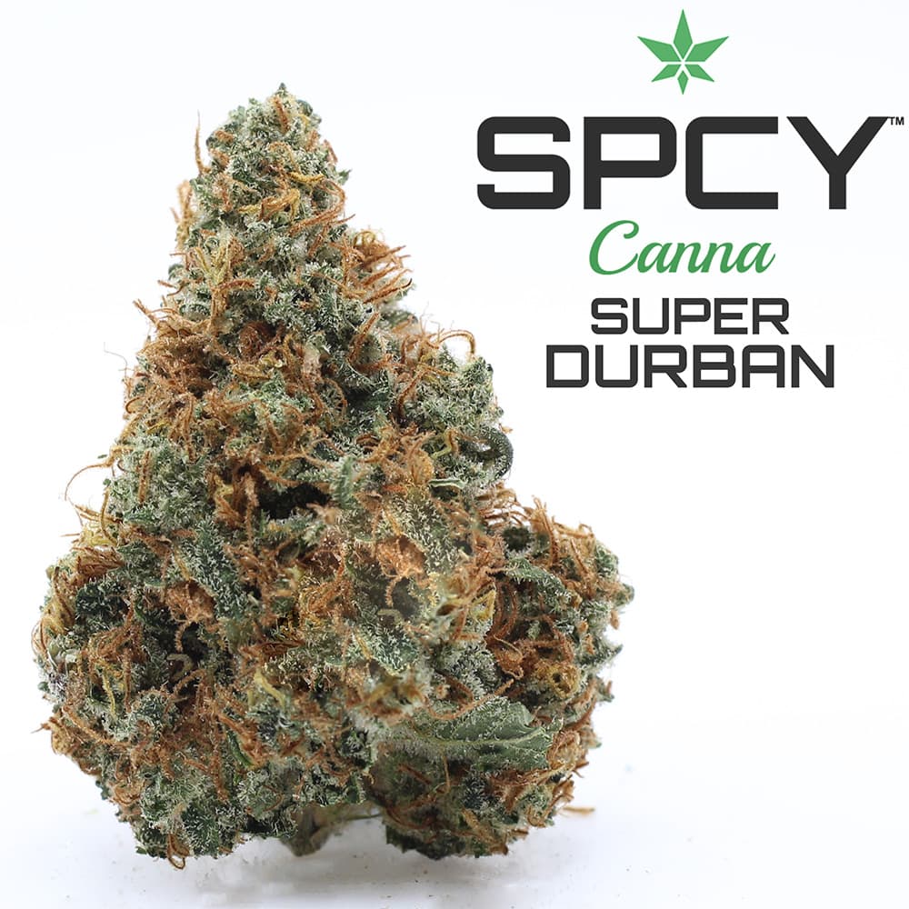 Super Durban